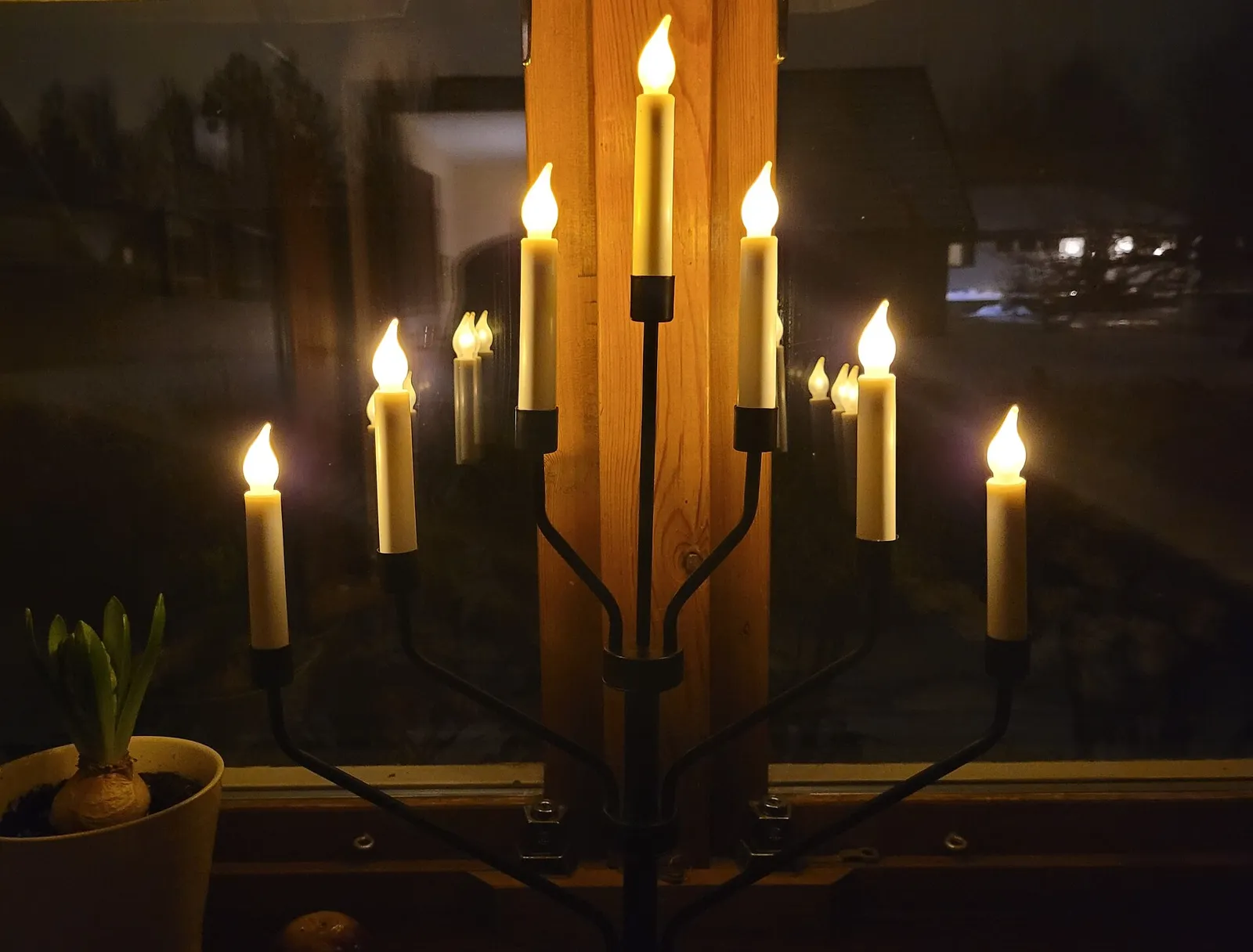 En adventsljusstake med elektriska ljus lyser i ett fönster en mörk vinterkväll, med en hyacint på fönsterbrädan.