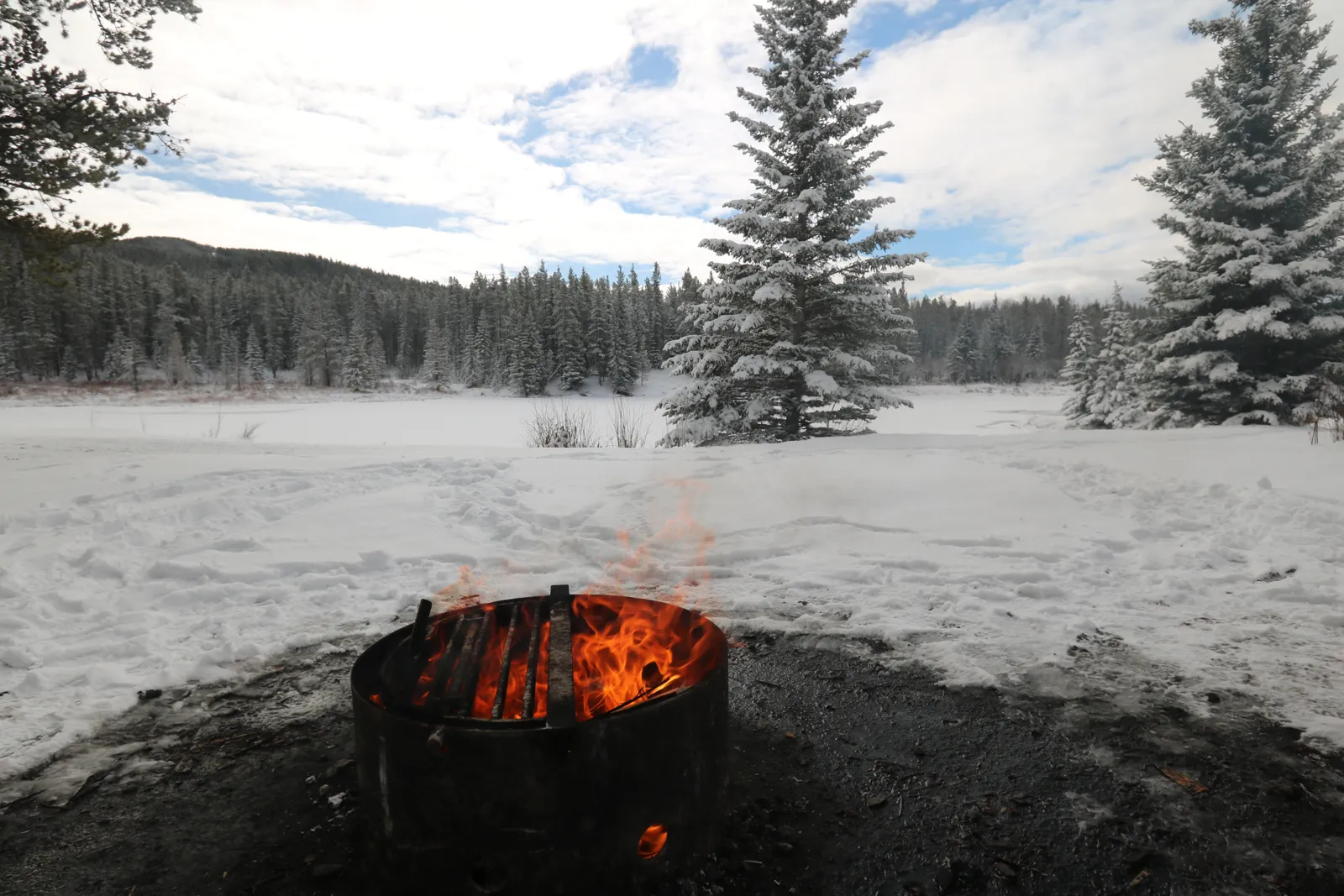 En eld brinner i en eldring av metall på en snötäckt äng med höga, snöiga granar under en blå himmel med moln.