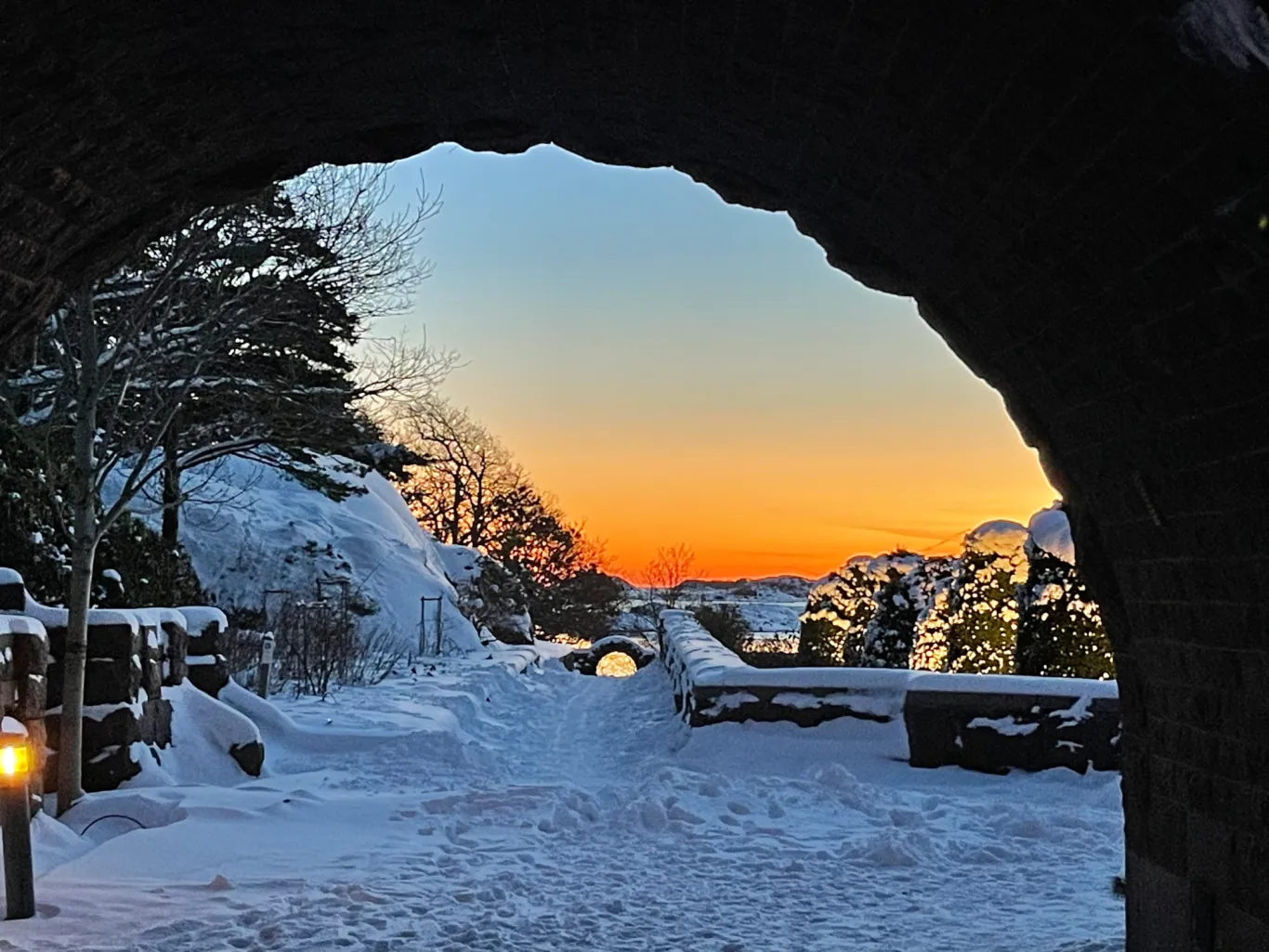 Se gjennom en bue av snødekte trær mot en fargerik solnedgang.