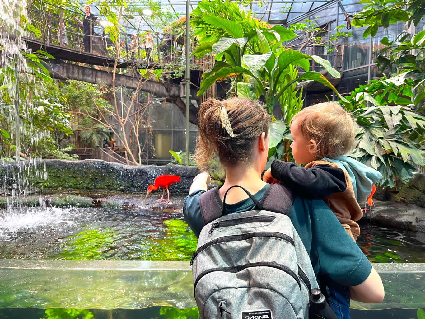 Universeum