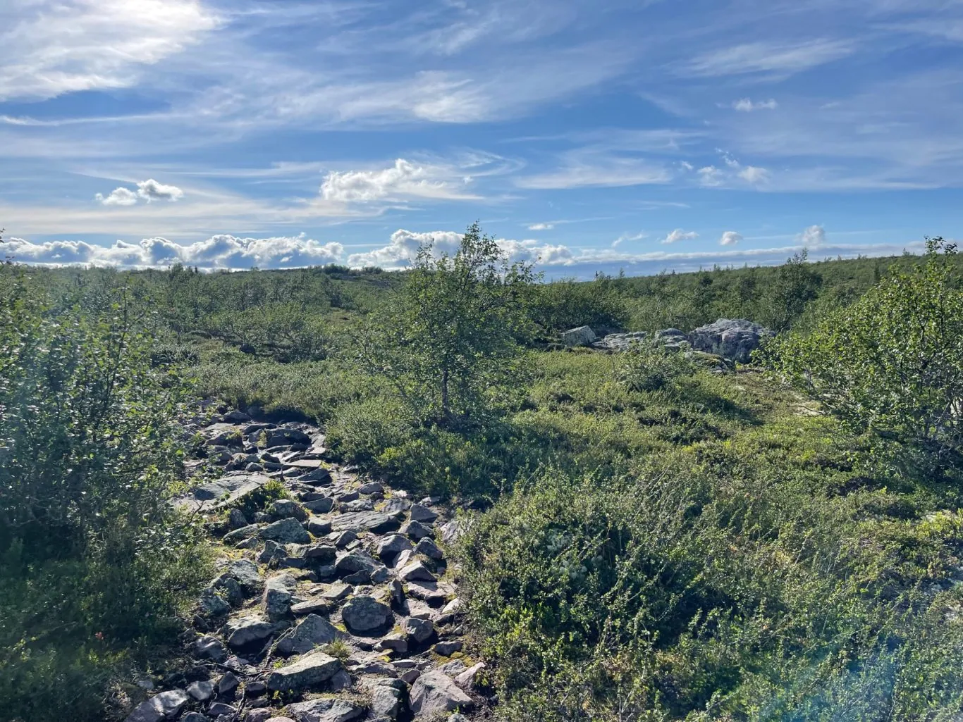 Dienvidu taka pie Fulufjället