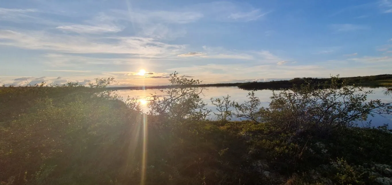 Vasara Fulufjället
