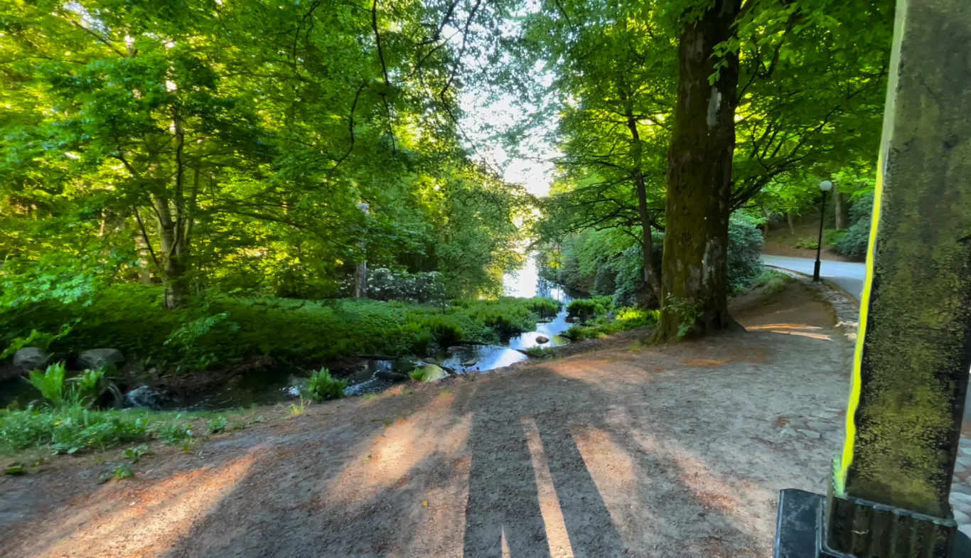 Slottskogen