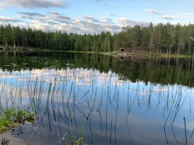 Still lake surrounded by trees, reflecting clouds and reeds in the water.