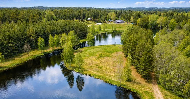 Landschaft mit einem üppigen See, umgeben von Bäumen und einer offenen Wiese.