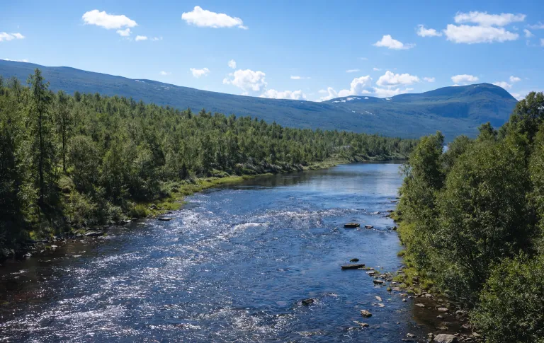 En flod løber gennem frodig skov med bjerge i baggrunden under en blå himmel.