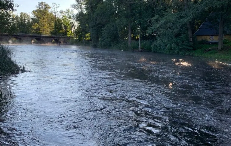 Спокійний водоток з туманом, оточений деревами і мостом на задньому плані.