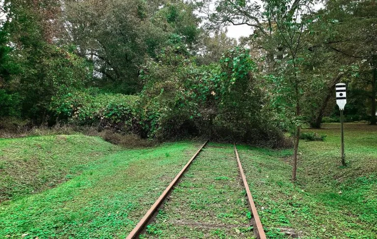 Bosweg met treinrails, omgeven door groen en verkeersborden.