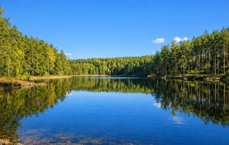 Ruhiger See umgeben von grünen Bäumen und einem blauen Himmel mit ein paar Wolken.