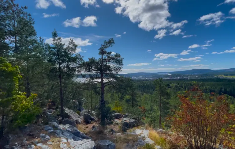 Landschaft mit grünen Bäumen, Klippen und einem See unter einem blauen Himmel mit weißen Wolken.