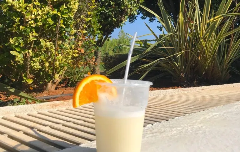 En kald drink i en plastkopp med en oransje skive, omgitt av grønne planter.