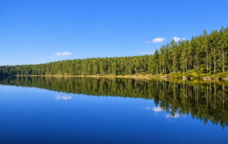 Spiegel-glatter See mit üppigen Wald und einem klaren blauen Himmel.