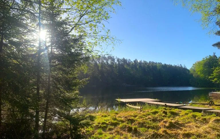 Päikeseline maastik rahuliku järve ääres, mida ümbritsevad rohelus ja puud.