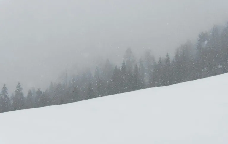 A snowy landscape with trees in fog and falling snow.