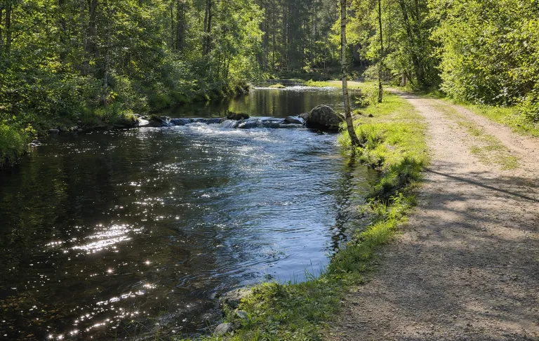 Fly Stream ümbritsetud rohelusega, mille kõrval on tee.