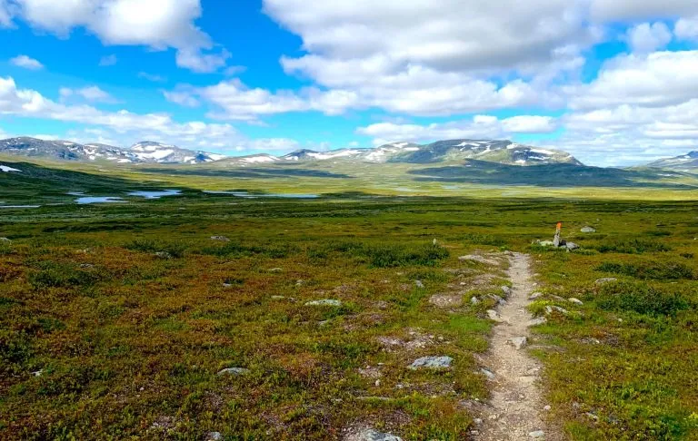 Prachtig berglandschap met groene vegetatie, blauwe lucht en paden die voorbij de horizon lopen.