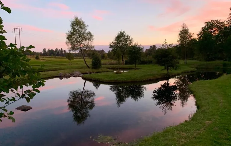 Een rustig meer met spiegel-glad water en een boom omzoomde kust bij zonsondergang.