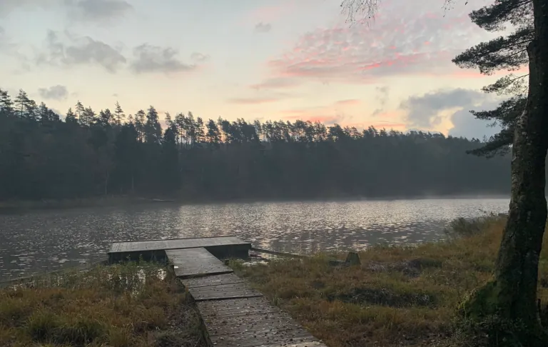 Piestātne uz vēl ezera ar rīta miglu un saullēktu aiz meža.