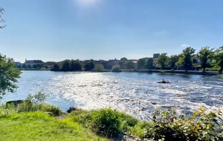 Lugn flod med spegelblanka ytor, omgiven av grönska och byggnader i bakgrunden.