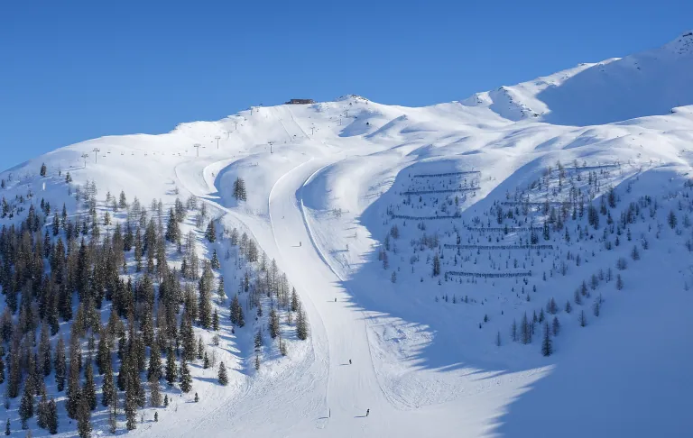 Illustration of snow-covered mountains with ski tracks and a clear blue sky.