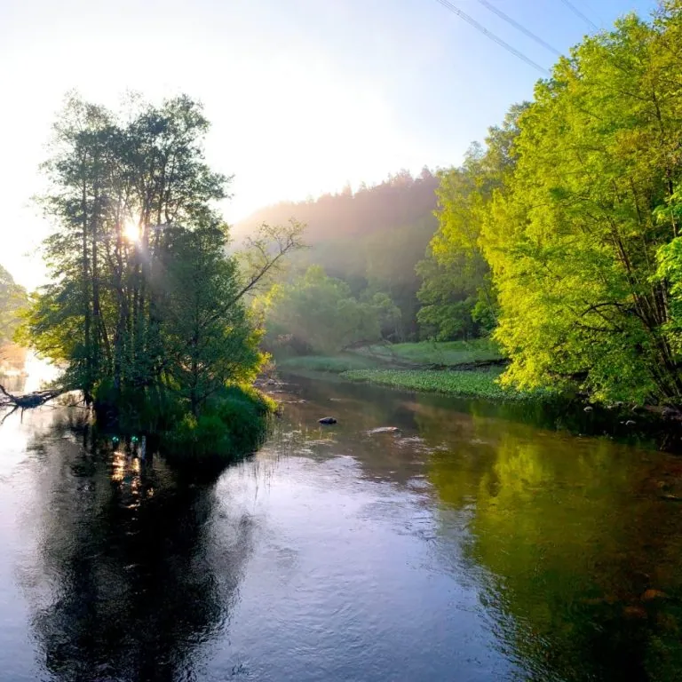 Ruhiger Morgen im Säveån mit viel Grün und Sonnenstrahlen, die durch die Bäume an der Kusebacka Brücke (Tullängsbron) leuchten.