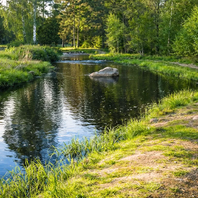 Et roligt vandløb omgivet af frodig vegetation og klipper.
