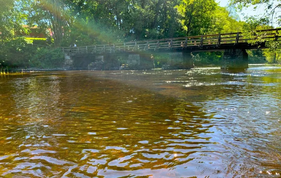 Eine ruhige Wasseroberfläche auf Säveån mit Kusebacka Bridge (Tullängsbron) und üppigen Bäumen im Hintergrund.