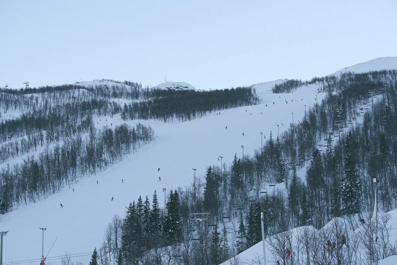 Breda pistade nedfarter i Hemsedal som slingrar sig ner genom granskogen en klar vinterdag.