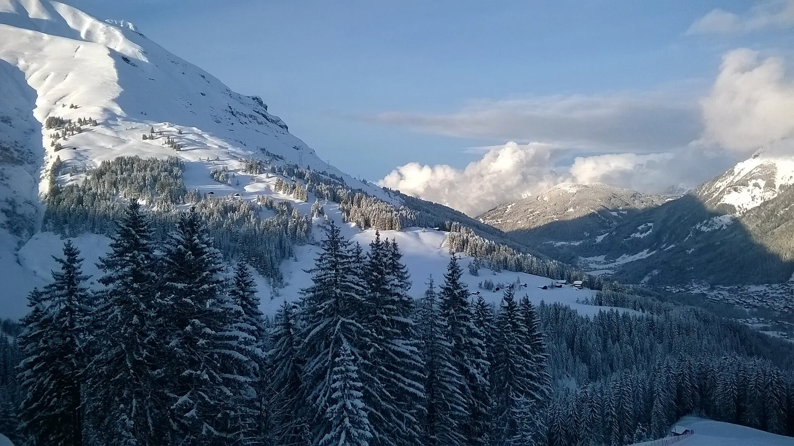 Snötyngd granskog och vita sluttningar ovanför Les Contamines-Montjoie, med byns hus utspridda nere i dalen i kvällssol