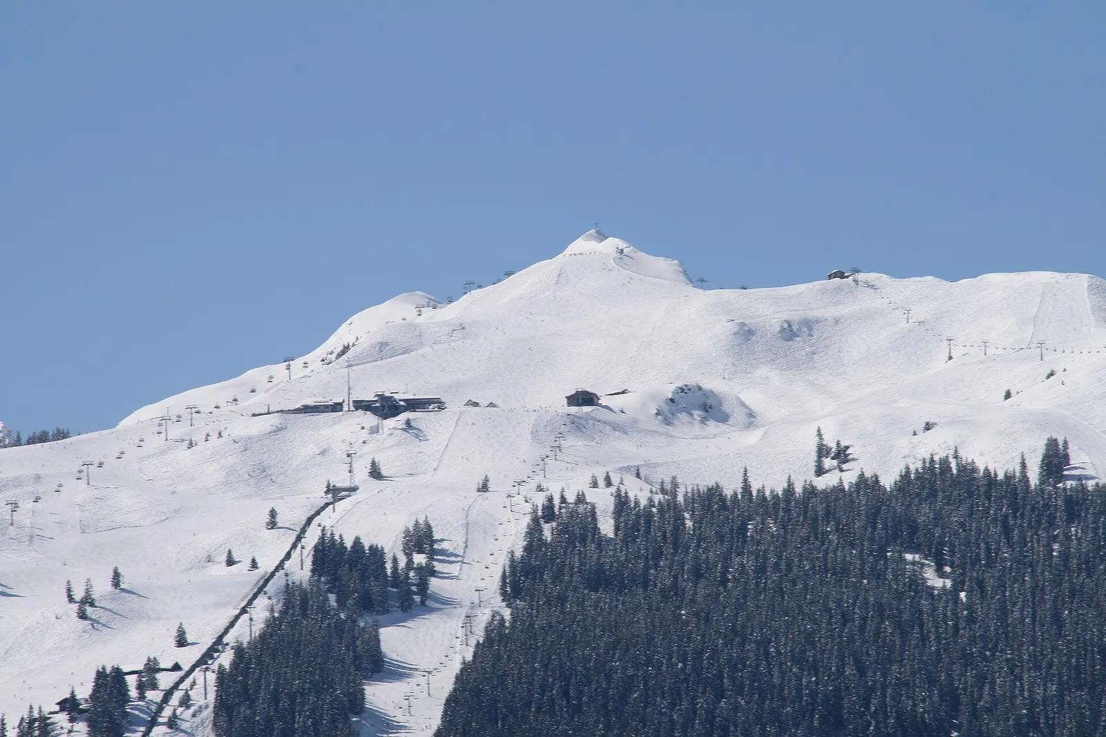 Snedækkede pister og lifte op mod Golmerjoch i skiområdet Golm i Montafon med granskov i forgrunden og blå himmel