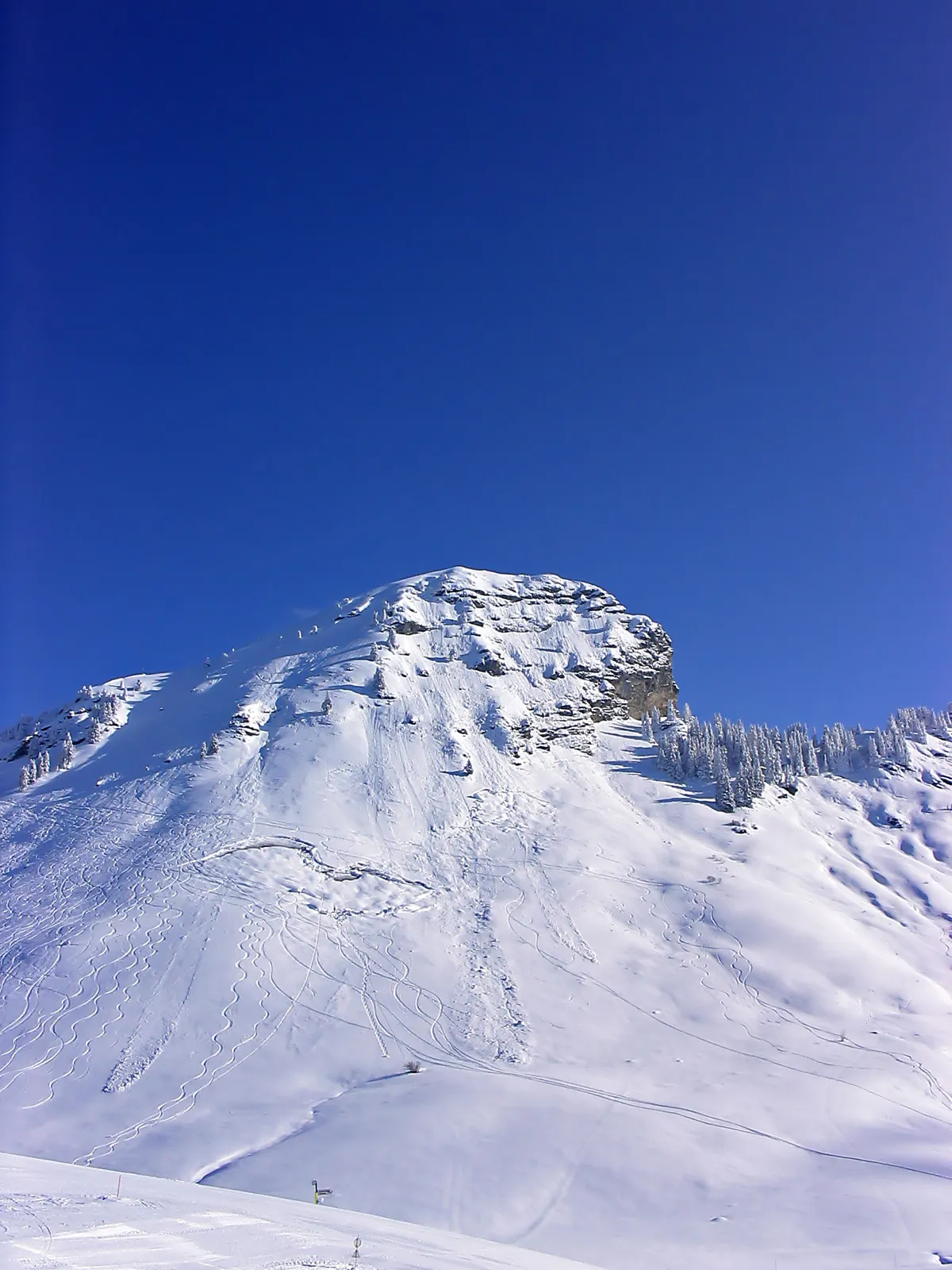 En snötäckt bergstopp ovanför Morzine under en djupblå himmel, med granskog på sluttningen.