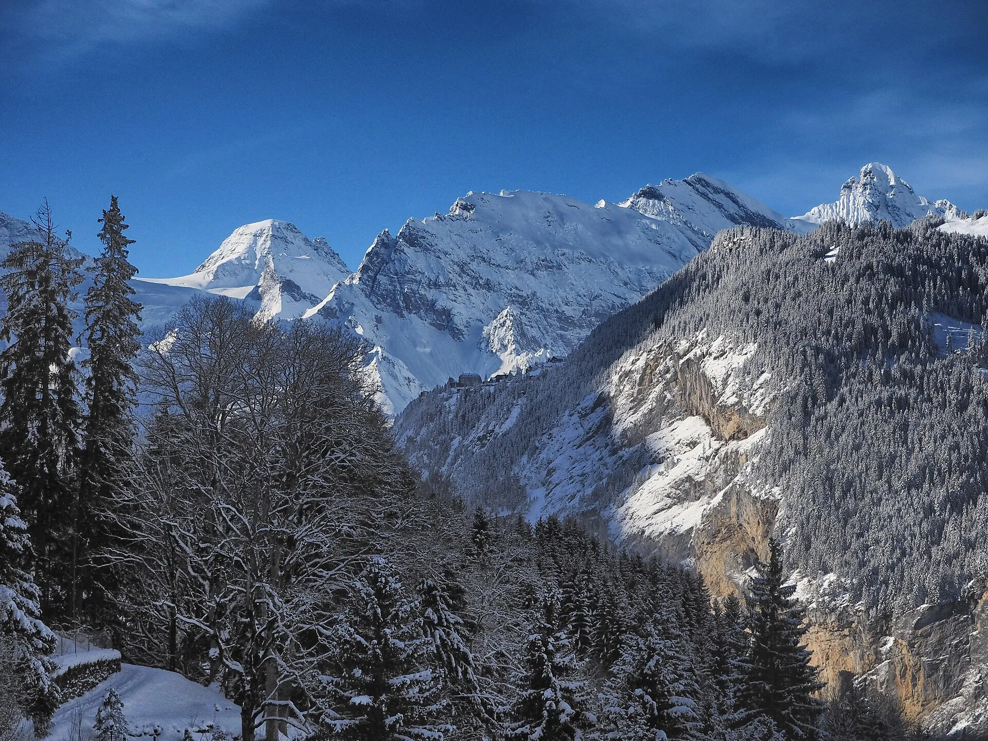 En bred pist genom granskog ovanför Mürren en solig dag, med de snötäckta topparna Eiger, Mönch och Jungfrau i bakgrunden.
