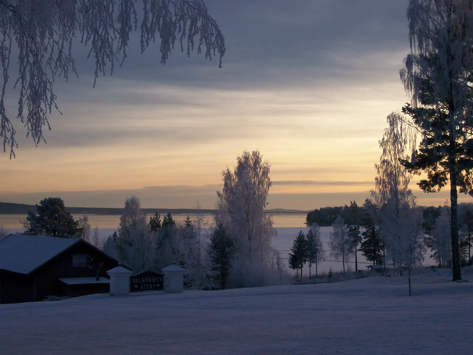 Frostiga träd vid Orsasjön i solnedgången
