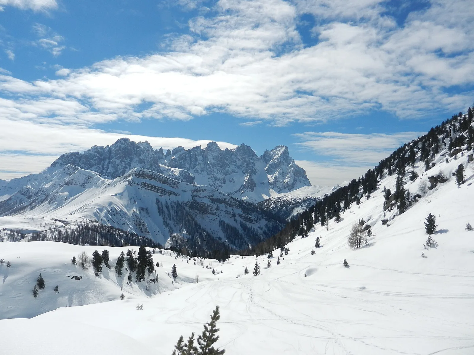 Postrzępione, oprószone śniegiem szczyty Pale di San Martino pod błękitnym zimowym niebem z chmurami, z dziewiczymi polami śnieżnymi i rzadkimi modrzewiami na pierwszym planie