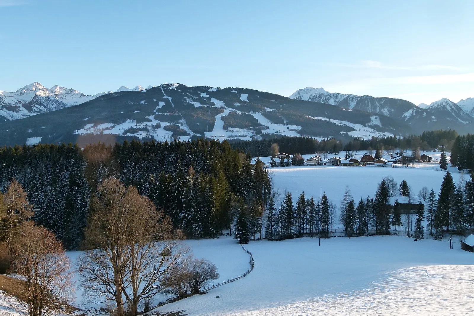 Planai metsän läpi kulkevine rinteineen Ramsau am Dachsteinin lumisilta niityiltä nähtynä kirkkaana talvipäivänä