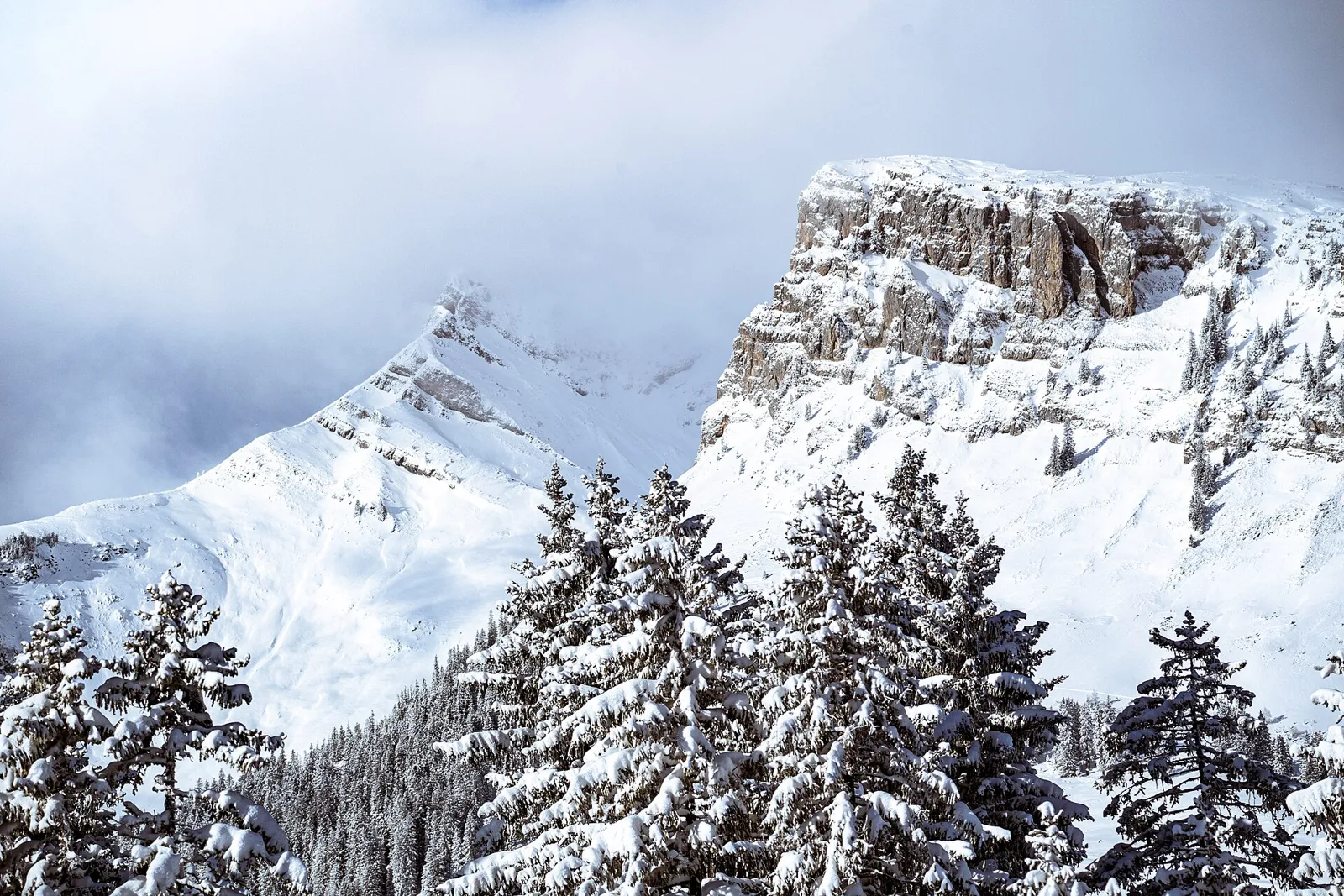 Snötäckta granar framför bergsväggen Schibegütsch och toppen Hogant i moln, i biosfären Entlebuch nära Sörenberg