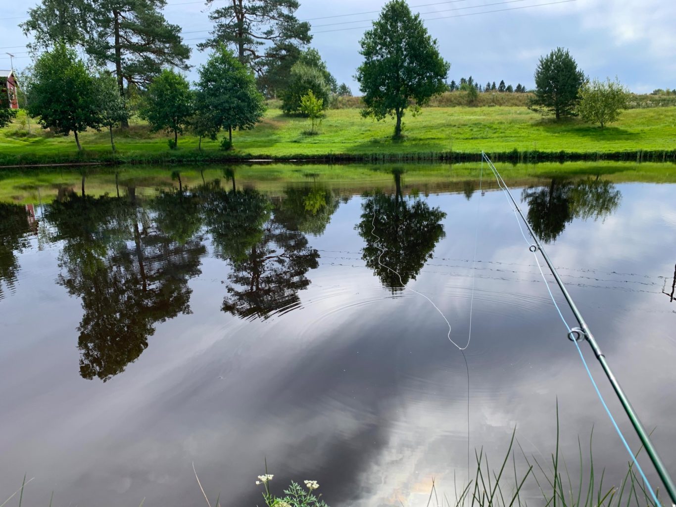 Fiskar i Sunnedamm En fiskare står vid en spegelblanka sjö med träd och grönska i bakgrunden.
