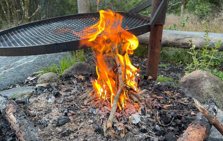 Eld brinner med flammor och glödande ved i en utegrill.