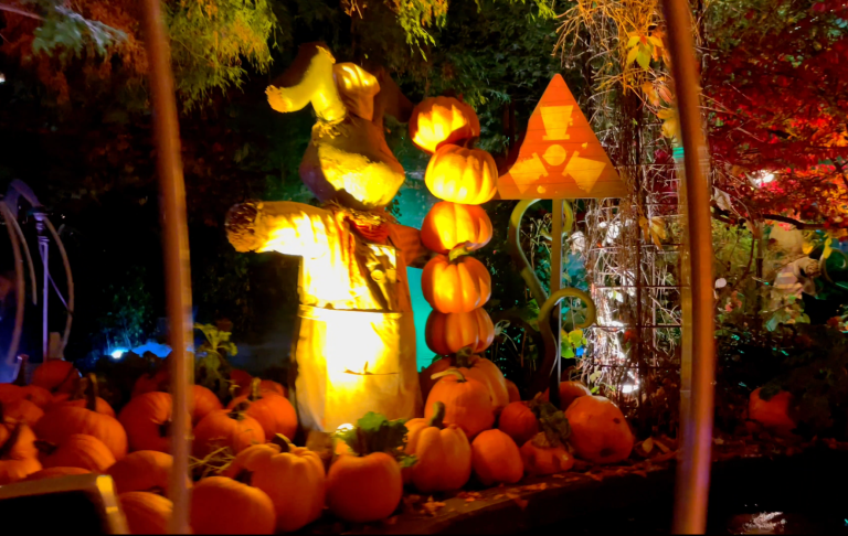 Halloween kanin med pumpor - Halloween på Liseberg En stor lisebergskanin med orangea stora pumpor runt fötterna och höstfärgade träd