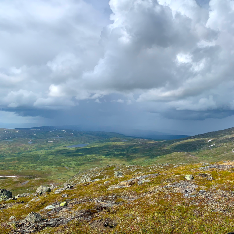 Utsikt över gröna marker med mörka moln och en storm på avstånd.