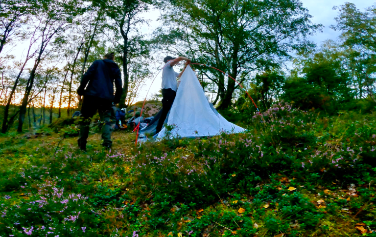 Sätter upp tältet Två personer reser ett tält bland blommor i en grönskande skog.