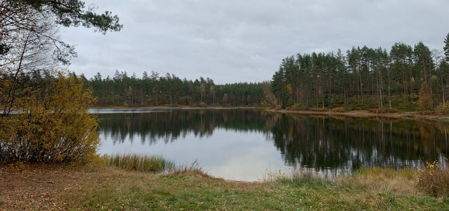 Lugn sjö omgiven av skog med höstfärger och grå himmel.