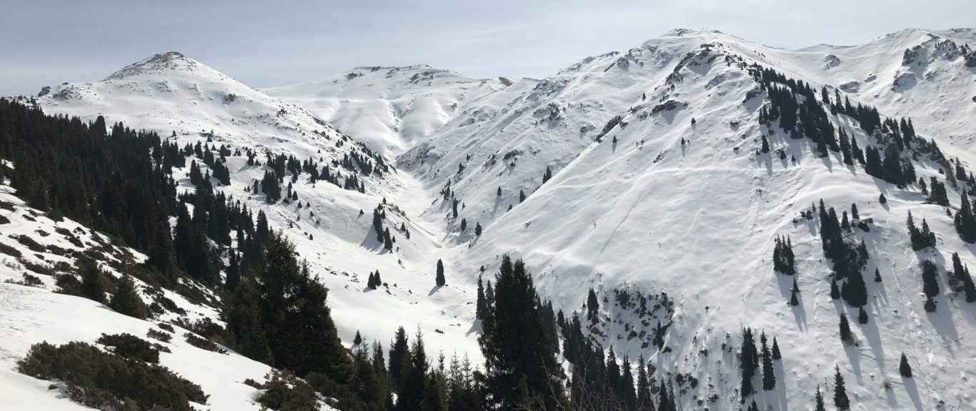 Snöklädda alpberg med granar och en klar himmel.