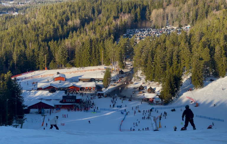 Skidåkare på snötäckt backe med skog och stugor i bakgrunden.