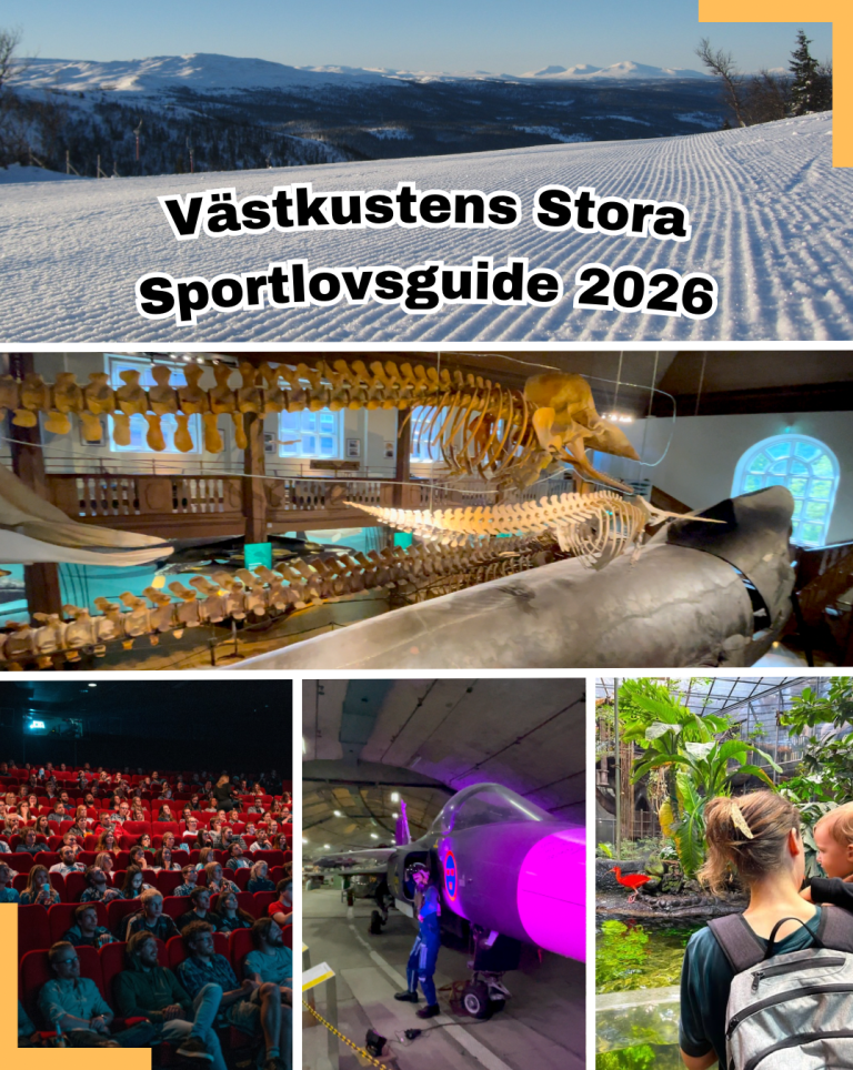 Illustration med valkonstruktioner och bilder från sportevenemang och natur.