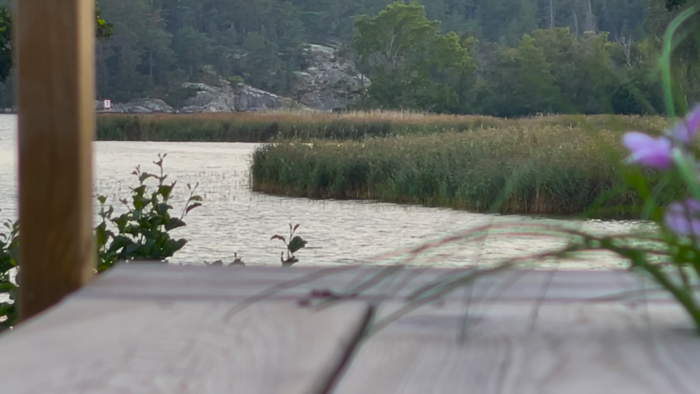 Algots på Udden Sjövy med växter och blommor i förgrunden, omgiven av grönska och klippor.