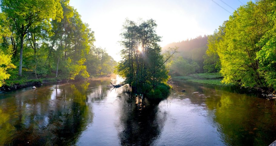 En stilla säveån med grönskande träd och solstrålar som lyser genom dimman en tidigmorgon.