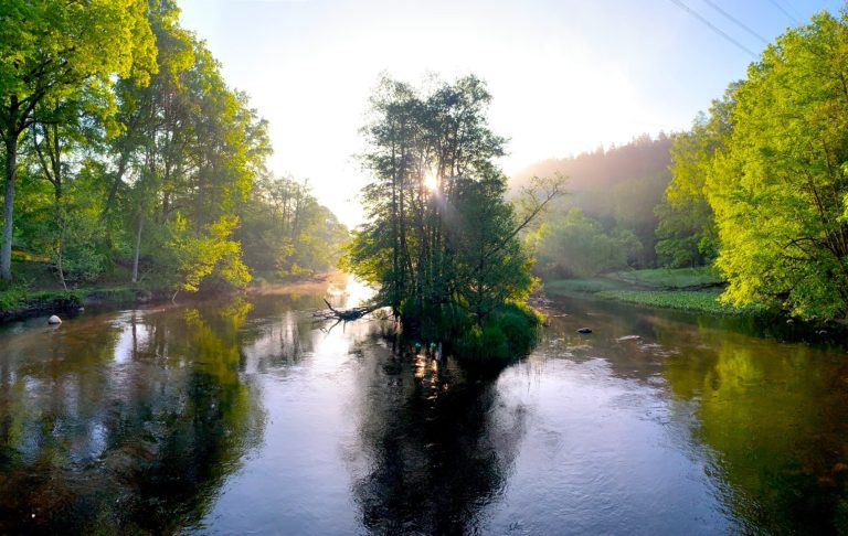 Soluppgång bakom träd vid en stilla flod omgiven av grönskande landskap.