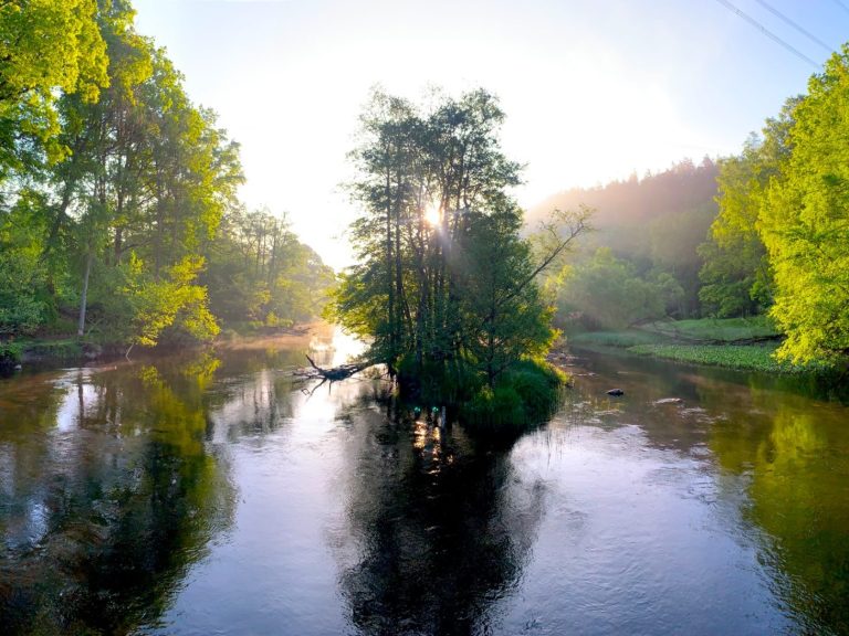 Lugn flod med träd och grönska, solsken speglas i vattnet.