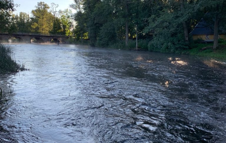 Lugnt vattendrag med dimma, omgiven av träd och en bro i bakgrunden.